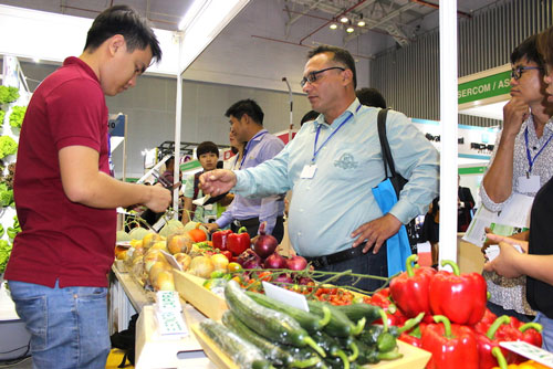 Từ UKVFTA đến cánh cửa lớn thâm nhập thị trường châu Âu