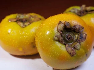 Cách ngâm hồng ngọt giòn tự nhiên không cần dùng thuốc