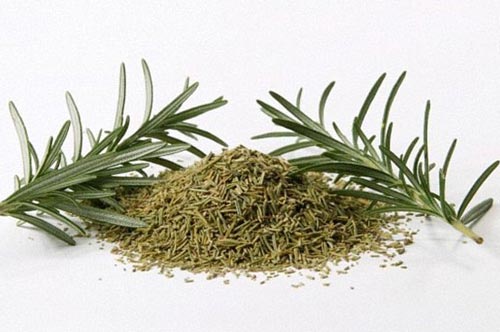 Phát hiện cây thảo dược quen thuộc giúp tăng tuổi thọ con người