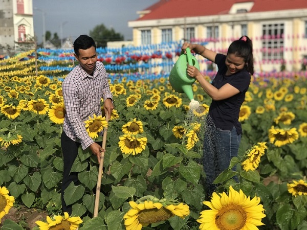 Dân mạng "tan chảy" trước vẻ lãng mạn mê hồn của cánh đồng hoa mặt trời ở Bình Phước 