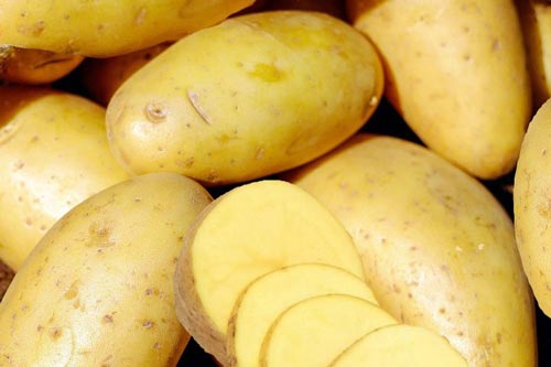Mẹo bảo quản khoai tây tươi ngon không bị mọc mầm
