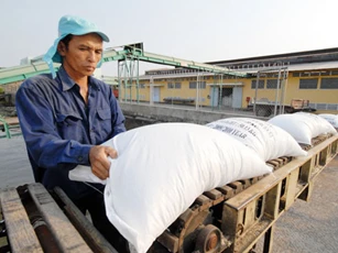 Năm 2020: Xuất khẩu gạo đạt 3 tỷ USD, giá bán cao nhất nhiều năm qua