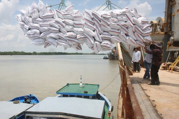 Bảo đảm tiêu thụ lúa gạo với giá có lợi nhất trong năm 2021