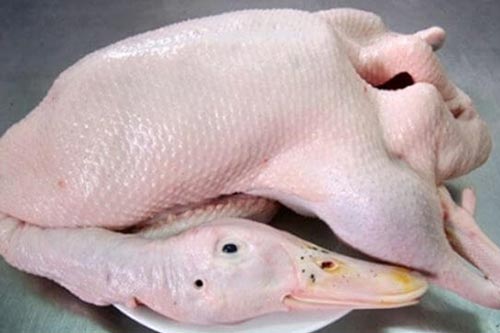 Mẹo làm lông vịt siêu nhanh, không còn mùi hôi