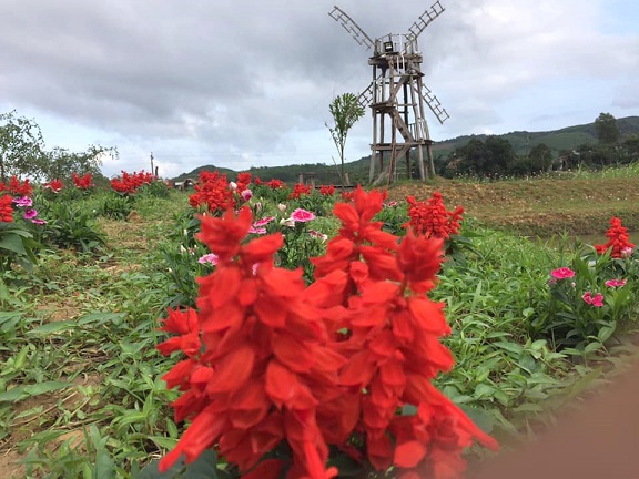 Du lịch nông nghiệp: Hướng phát triển bền vững của du lịch Quảng Bình 