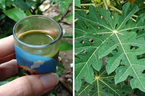 "Tiên dược" cho sức khỏe mà ai cũng đang thờ ơ, ném bỏ