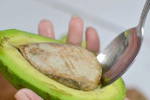 Hạt bơ - "thần dược" cho sức khỏe