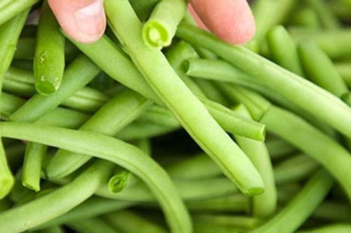 5 thực phẩm nhiều canxi hơn cả sữa