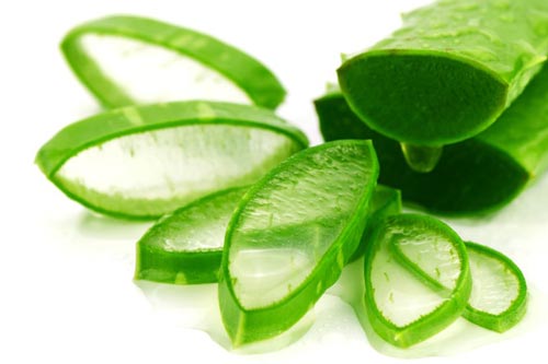 Những người tuyệt đối không nên sử dụng nha đam