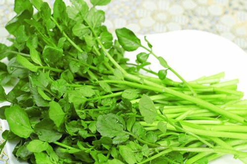 Tác dụng chữa bệnh tuyệt vời của rau cải xoong