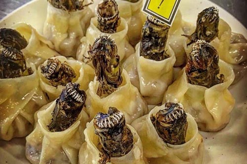Bánh bao ‘người ngoài hành tinh’, món ăn nhìn thôi đã thấy sợ