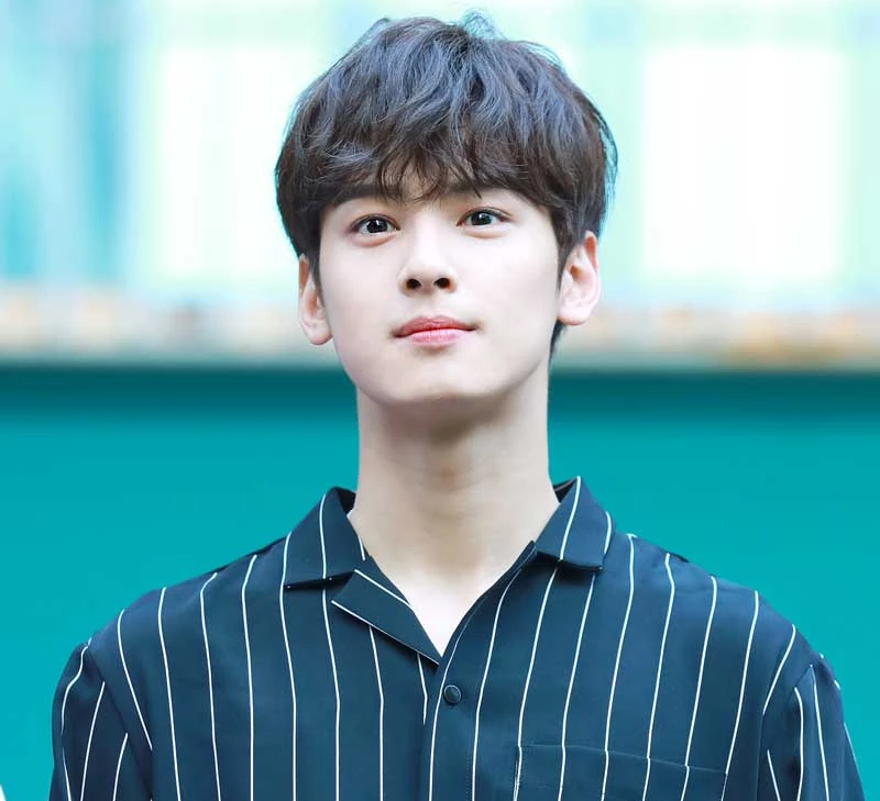 8. Cha Eunwoo (Astro).