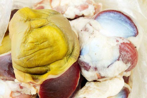 Màng mề gà - 'bảo bối' chữa bệnh mà bạn chưa biết