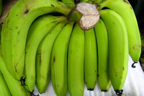 Chuối xanh - món ăn ngon bổ dưỡng còn là "thần dược trị bách bệnh"