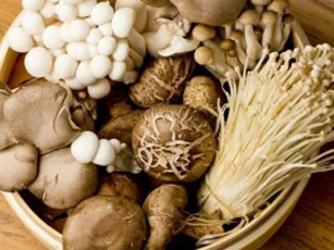 Chế biến nấm sai cách khiến chúng mất sạch chất dinh dưỡng