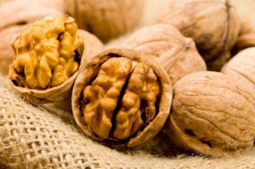 Tại sao nghèo hay giàu bạn cũng nên bỏ tiền mua óc chó để ăn?