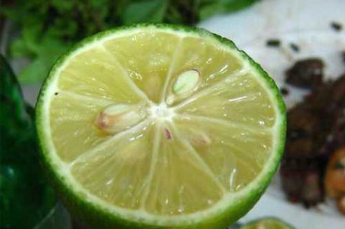 Hạt chanh - 'thần dược' trong nhà không biết tiếc cả đời