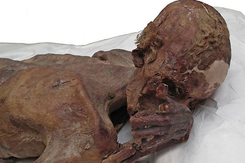 Bí ẩn hình xăm lâu nhất thế giới trên xác ướp Ai Cập từ 5.200 năm trước