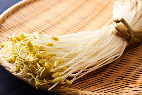 Cách phân biệt giá đỗ sạch với giá đỗ ngâm hóa chất