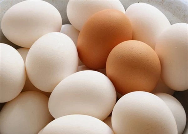 Cánh phân biệt trứng gà ta thật với trứng gà công nghiệp tẩy trắng