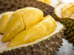 Bạn cần lưu ý khi ăn sầu riêng để không hại sức khỏe