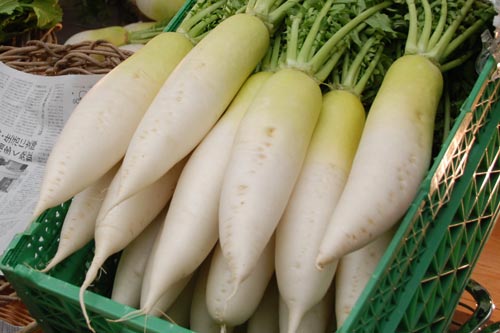 Củ cải trắng cực tốt nhưng ăn theo 5 cách này sẽ sinh bệnh