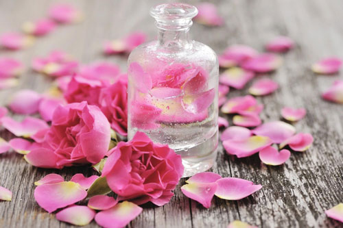 Tự nấu nước hoa hồng tại nhà ai cũng làm được