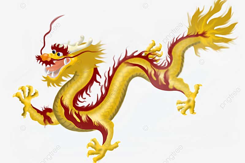 Top 8 loài sinh vật có thể hóa thành rồng trong truyền thuyết