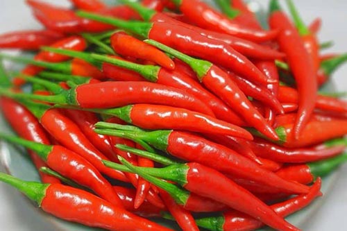 4 thực phẩm cực tốt cho phổi không phải ai cũng biết