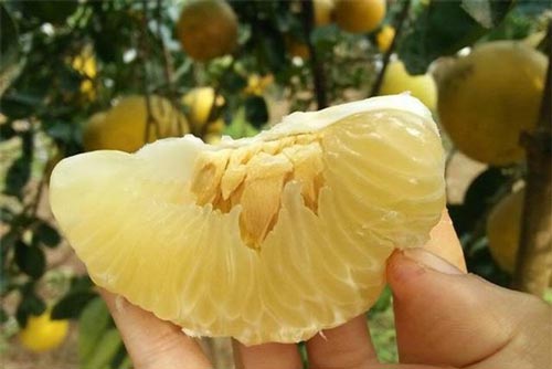 Tác dụng bất ngờ khi mẹ thường xuyên cho trẻ ăn bưởi