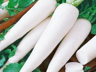 5 loại "bảo bối" tự nhiên giúp bạn lọc sạch máu, thông tắc đường huyết, ngăn ngừa đột quỵ