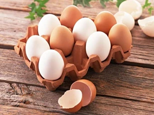 Chuyên gia lý giải: Vì sao trứng gà tốt hơn trứng vịt?