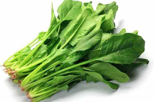 Không muốn bị thiếu máu thì ăn thực phẩm này