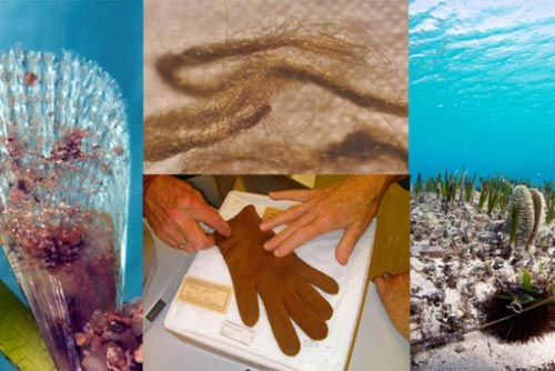 Bí ẩn tấm áo "nàng tiên cá" xuất hiện trong hàng loạt mộ cổ