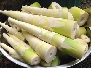 Thực phẩm gây hại cho gan bạn không nên ăn thường xuyên
