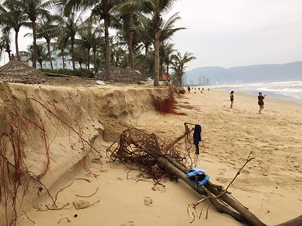 Đà Nẵng lên tiếng về tình trạng xói lở bờ biển do thời tiết cực đoan: Đến mùa khô bãi biển sẽ bồi trở lại
