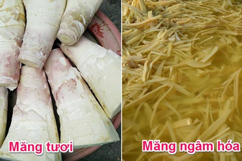 Mẹo phân biệt măng tươi tự nhiên và măng tươi ngâm hóa chất