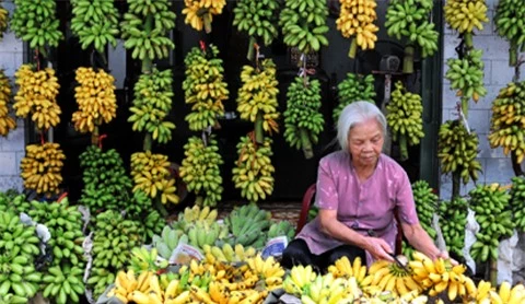 Mô tả ảnh