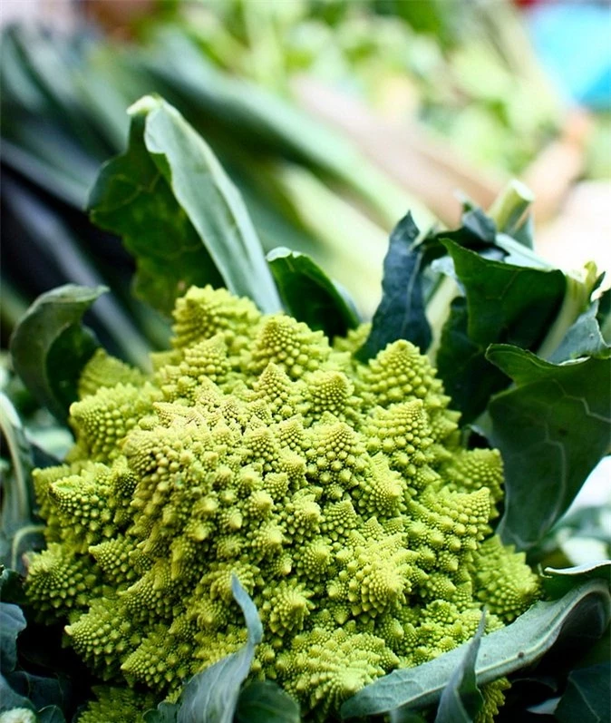 Romanesco là một trong những loại rau tuyệt vời cho sức khỏe