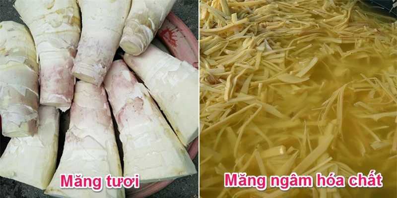 Mẹo phân biệt măng tươi tự nhiên và măng tươi ngâm hóa chất