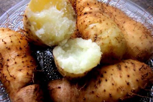 Giải độc cơ thể, giảm cân nhanh chỉ bằng củ từ