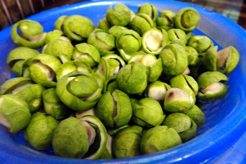 5 bài thuốc chữa bệnh từ quả sấu có thể bạn chưa biết