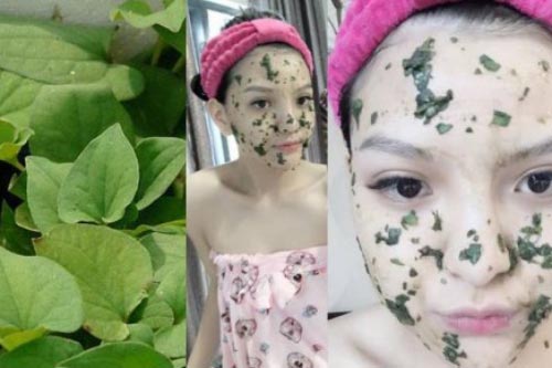 Sạch mụn cám trong vài ngày chỉ với rau diếp cá