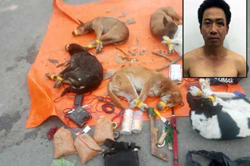 Bình Dương: Bắt kẻ cầm đầu nhóm “cẩu tặc” tông ô tô vào xe tuần tra