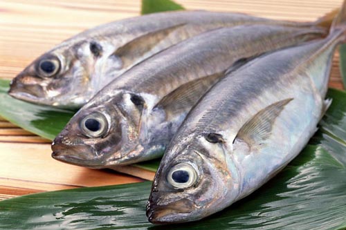 3 cách bảo quản cá lâu bị ươn không cần tủ lạnh