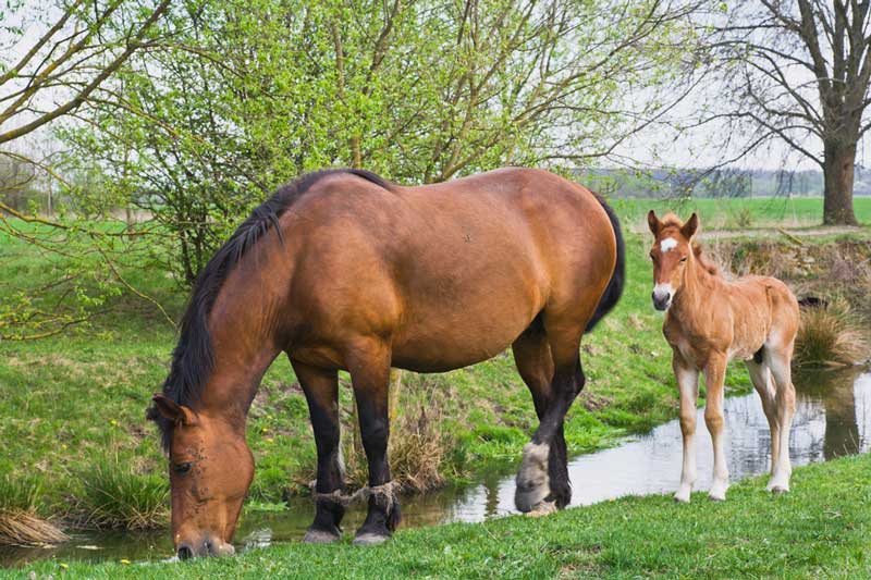 Sau mùng 1/12 Âm lịch, 4 con giáp này dễ gặp vận đỏ như son, giàu hơn trúng số độc đắc 