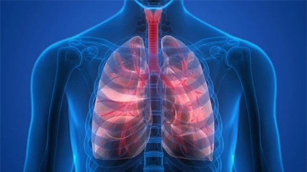 4 cách để nuôi dưỡng phổi khỏe mạnh
