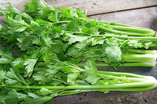 Thực phẩm đại kỵ với cần tây