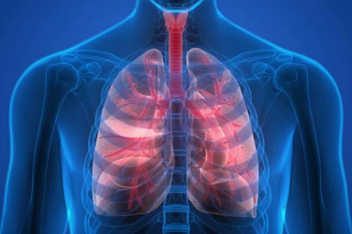 4 cách để nuôi dưỡng phổi khỏe mạnh