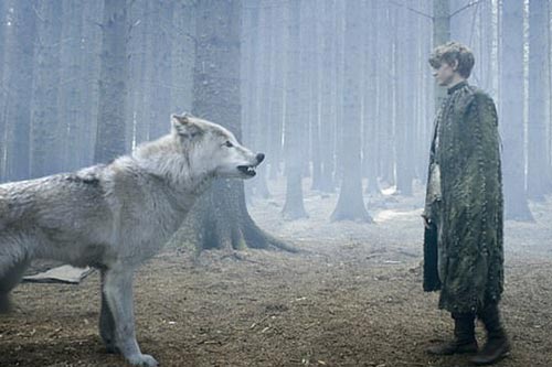 Phát hiện choáng váng từ hóa thạch 4.000 "ma sói" kỷ băng hà